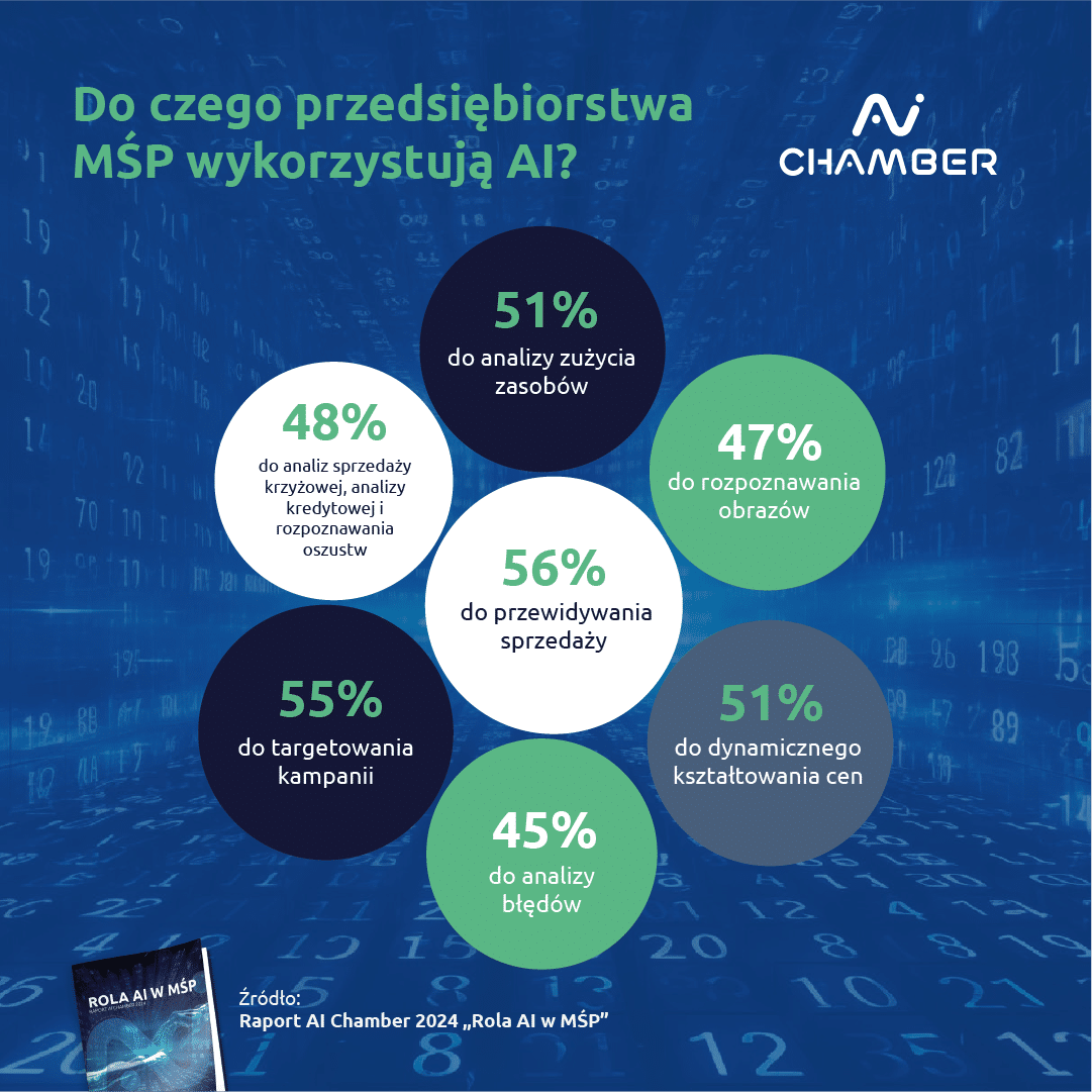 AI Chamber Raport 2024_Infografika 4