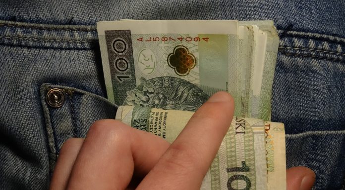 pieniądze złotówki PLN oszczędności 100