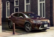 Lexus UX 250h w brązie (1)