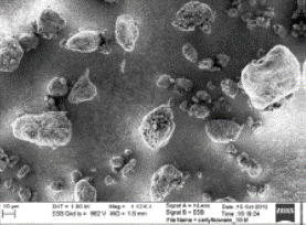 Zdjęcie wzorca cząstek spalin Diesla NIST 29 DPM