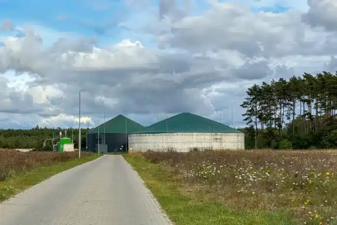 Stare Slepce biogas power plant